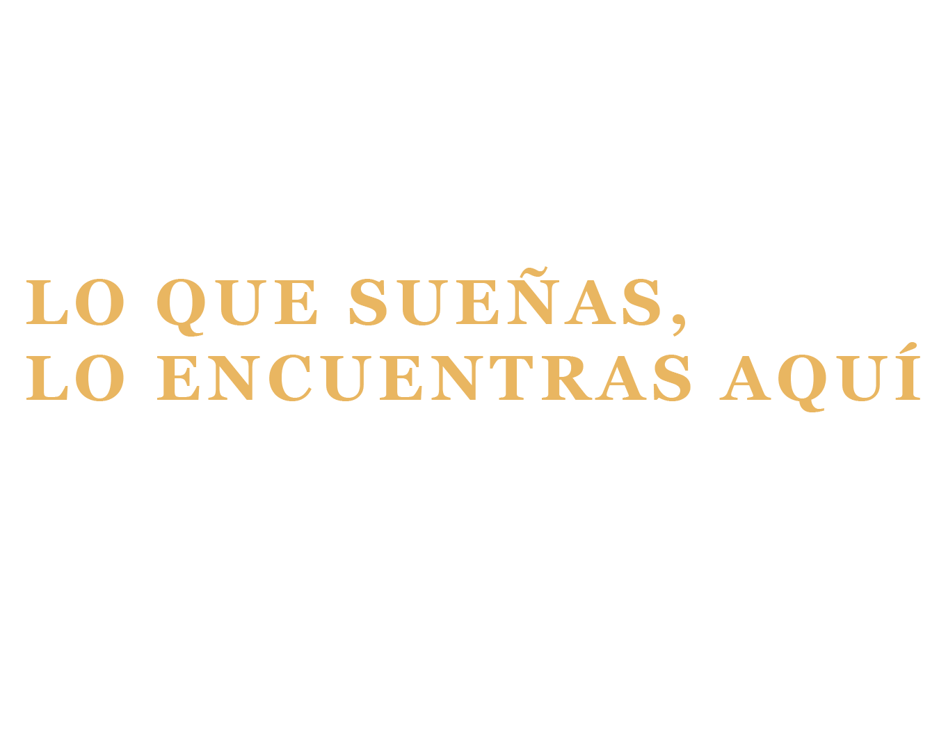 Texto